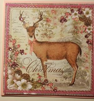 Kortet kan ikke vises