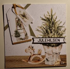 Kortet kan ikke vises