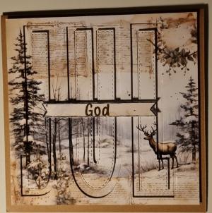 Kortet kan ikke vises