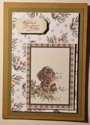 Kortet kan ikke vises