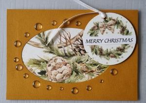 Kortet kan ikke vises