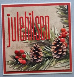 Kortet kan ikke vises