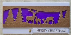 Kortet kan ikke vises